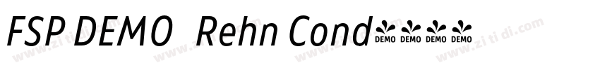FSP DEMO   Rehn Cond字体转换